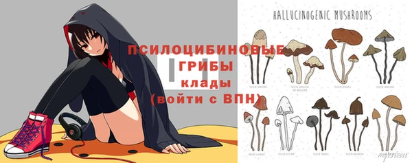 гидропоника Горнозаводск