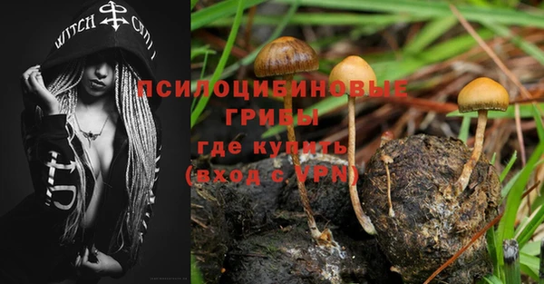 гидропоника Горнозаводск