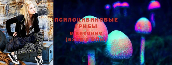 марки nbome Горняк