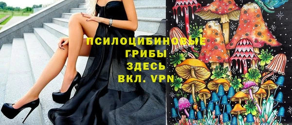 марки nbome Горняк