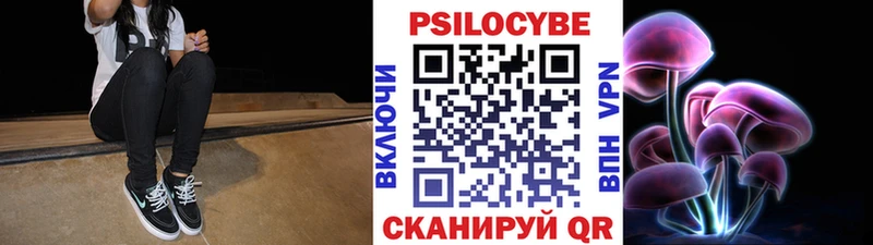 darknet телеграм  Саранск  Псилоцибиновые грибы Cubensis  МЕГА ССЫЛКА 