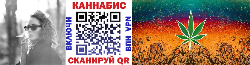 Бошки Шишки планчик  Саранск 